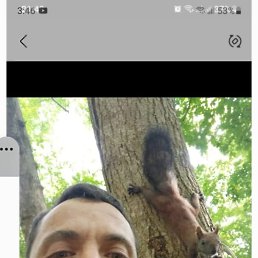 , 42 , 