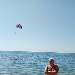 �������, ���������, 66 ���