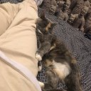 ���� L, �������, 30 ��� - ��������� 18 ������ 2025 � ������ ������ ��������