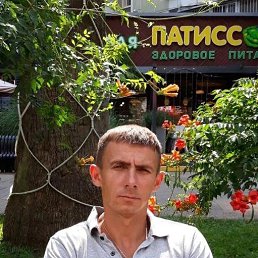 ����, 44 ����, ������