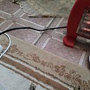 ���� ����, ����, 37 ��� - ��������� 28 ������� 2023 � ������ ���� ����������