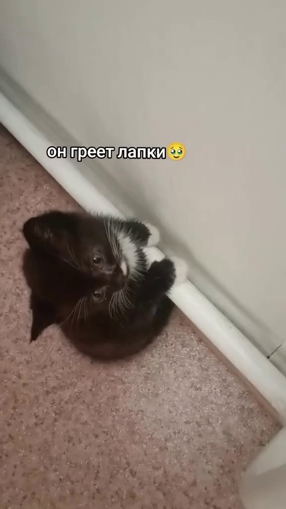Конечно, на улице октябрь, а уже такая холодина!)