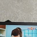 ���� �����, �����������, 42 ���� - ��������� 3 ������ 2023 � ������ ���� ����������