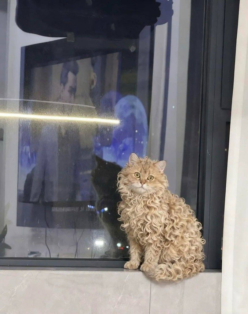       . ,       .  ... - 4