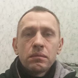 ����������, �����-���������, 48 ���