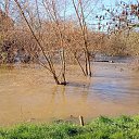 ������� ���� �� ����� ����������� ������ �� ������� ������ ��������