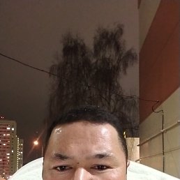 ������, 40 ���, ���������