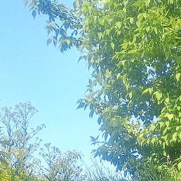 �������, ������, 30 ���