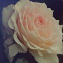 ���� �����, �����, 37 ��� - ��������� 4 ������� 2023