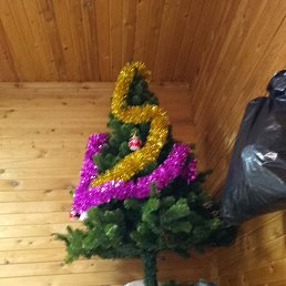 ���� �����, ���������, 32 ���� - ��������� 2 ������ 2024