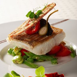 �����, �������������, 46 ���