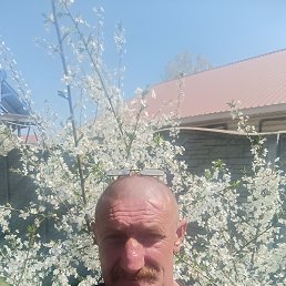 ������ ���������, ����, 49 ���