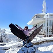 ������, , ������������