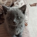 ���� ������, ������� - ��������� 23 ������ 2025 � ������ ���� ���������.�