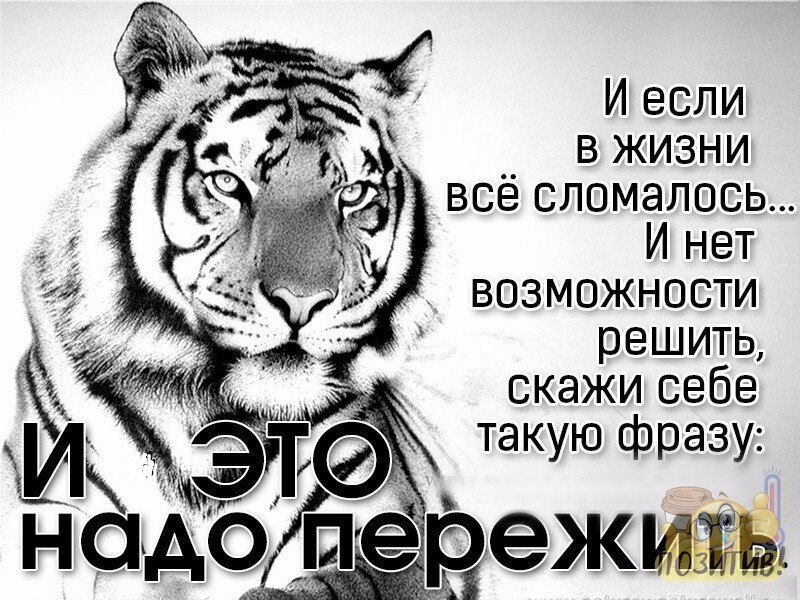  - 13  2025  03:36
