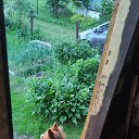 ���� ����, ������, 48 ��� - ��������� 31 ��� 2024 � ������ ���� ����������