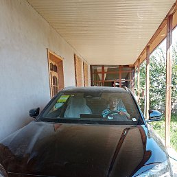 �����, �����������, 39 ���