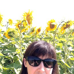 , 36, 