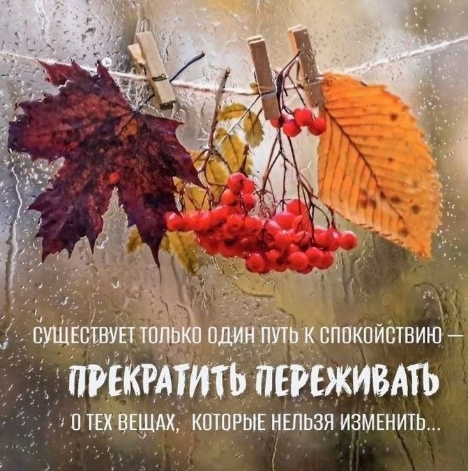   ,    . - 22  2025  15:25