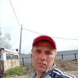 , 41,  