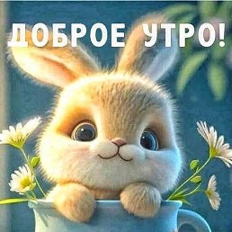 �����, �����������, 63 ����