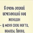 ���� �������, ������ - ��������� 20 ������� 2026