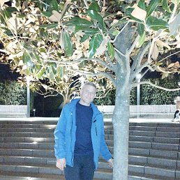 ������, ����, 52 ����