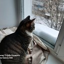 ���� Pasha, �������, 38 ��� - ��������� 29 ����� 2026