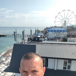 ��������, 41 ���, ����������