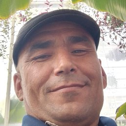 ����, ������, 43 ����