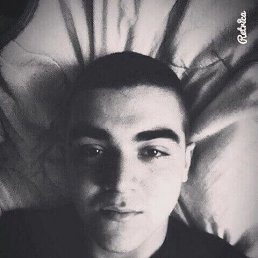 , 29, 