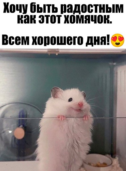  - 6  2024  02:05
