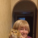 ���� �������, ���������, 73 ���� - ��������� 15 ������ 2024