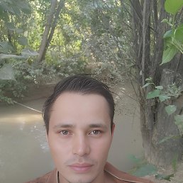 Sardor, 29, 