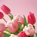 ���� �����, ����������� - ��������� 8 ����� 2024 � ������ ���� ����������