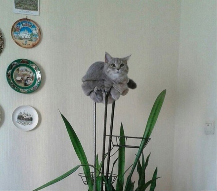    ?    ?