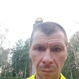 , 43 , 