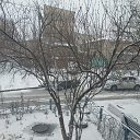 ���� ���������, ������, 38 ��� - ��������� 16 ������ 2024