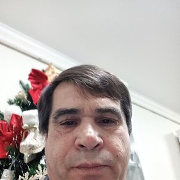 �����, 53 ����, ����