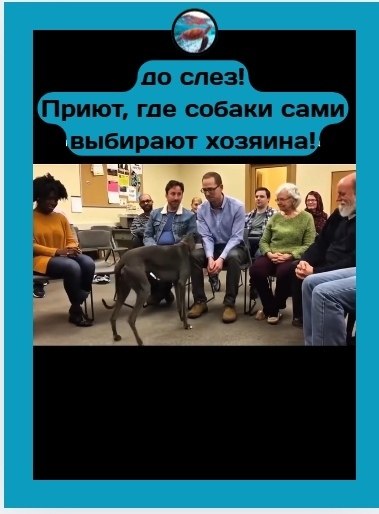 p��� ��e co�a�� ca�� ����pa�� �o����a � ��o �e�o��o��o c�o�pe�� c�o�o��o. ��o� �p���e �c� �po�c�o��� ... - 2