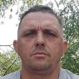 ����, ���������, 43 ����