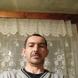 �����, 41 ���, ������