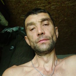 , 44, 