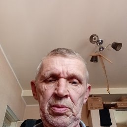���� ��������, ����, 62 ���� - ��������� 31 ������� 2026