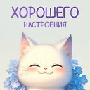 ���� ������, ����� - ��������� 28 ������ 2024 � ������ ���� ����������