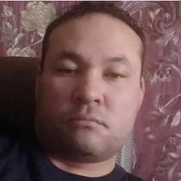, 43, 