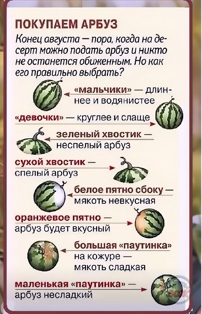 �����e� ap���.������� ������� �������! ������� ���������