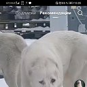 ���� ������ ����������, �����������, 40 ��� - ��������� 15 ������ 2025