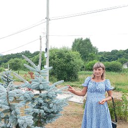 ���� �����, �������, 37 ��� - ��������� 27 ���� 2025