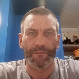 �������, ������, 46 ���